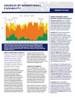 Sources of Operational  Flexibility